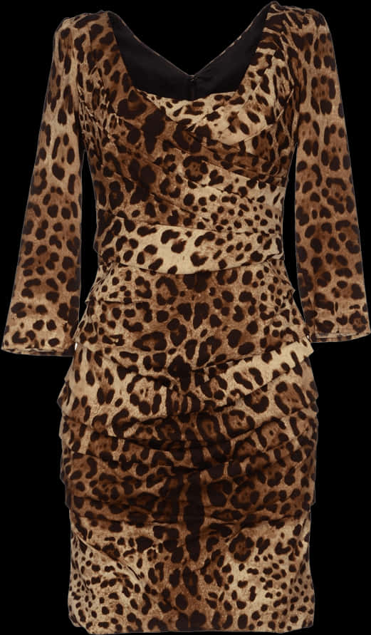 Leopard Print Dress Fashion PNG Image