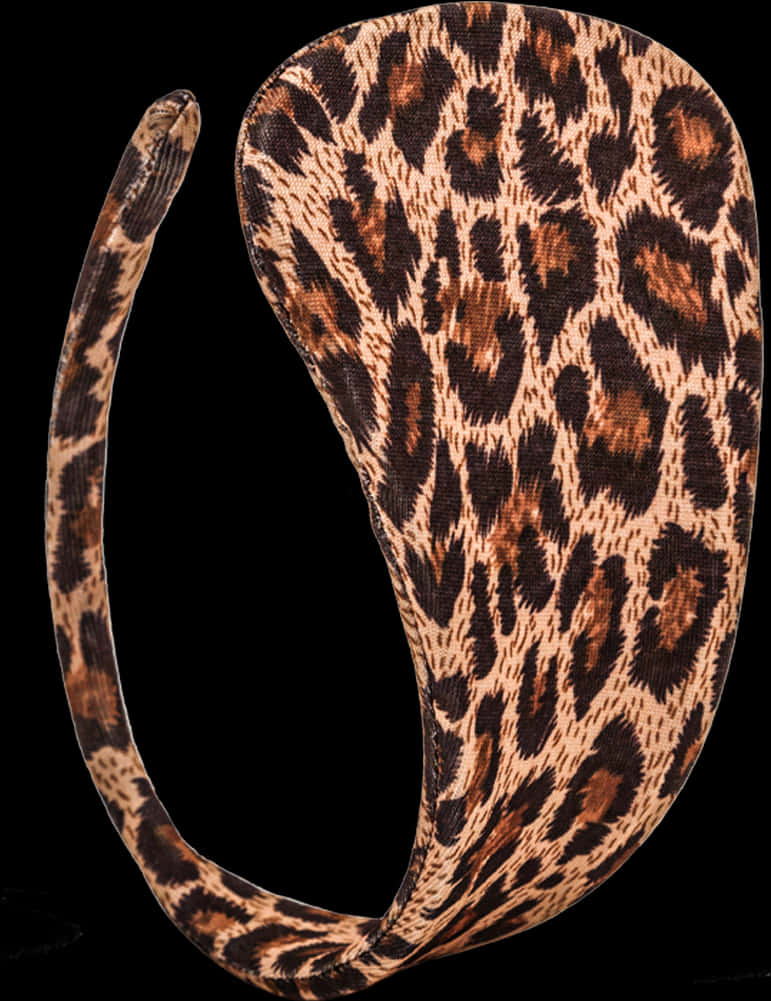 Leopard Print Headband PNG Image