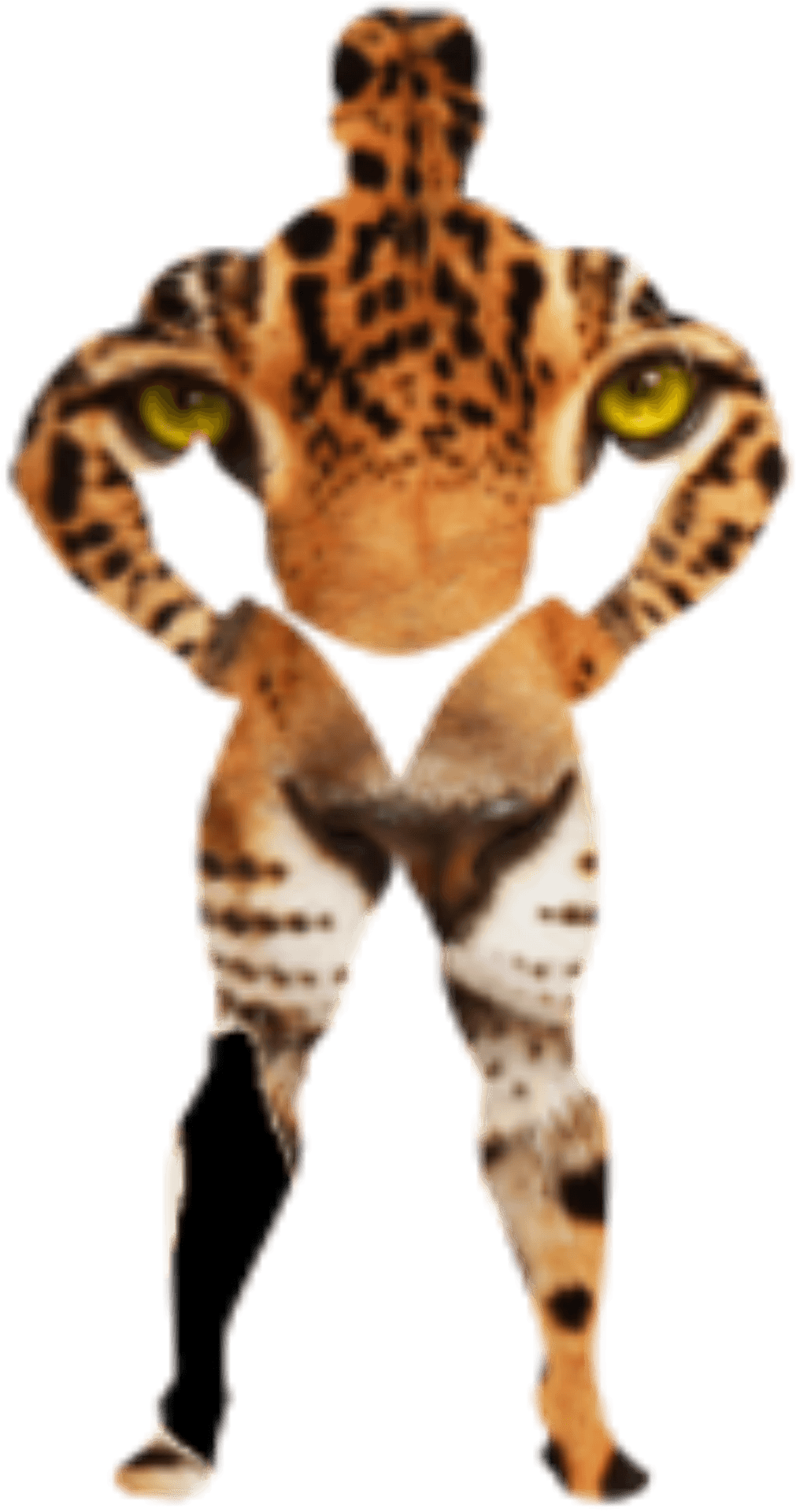 Leopard Print Humanoid Figure.png PNG Image