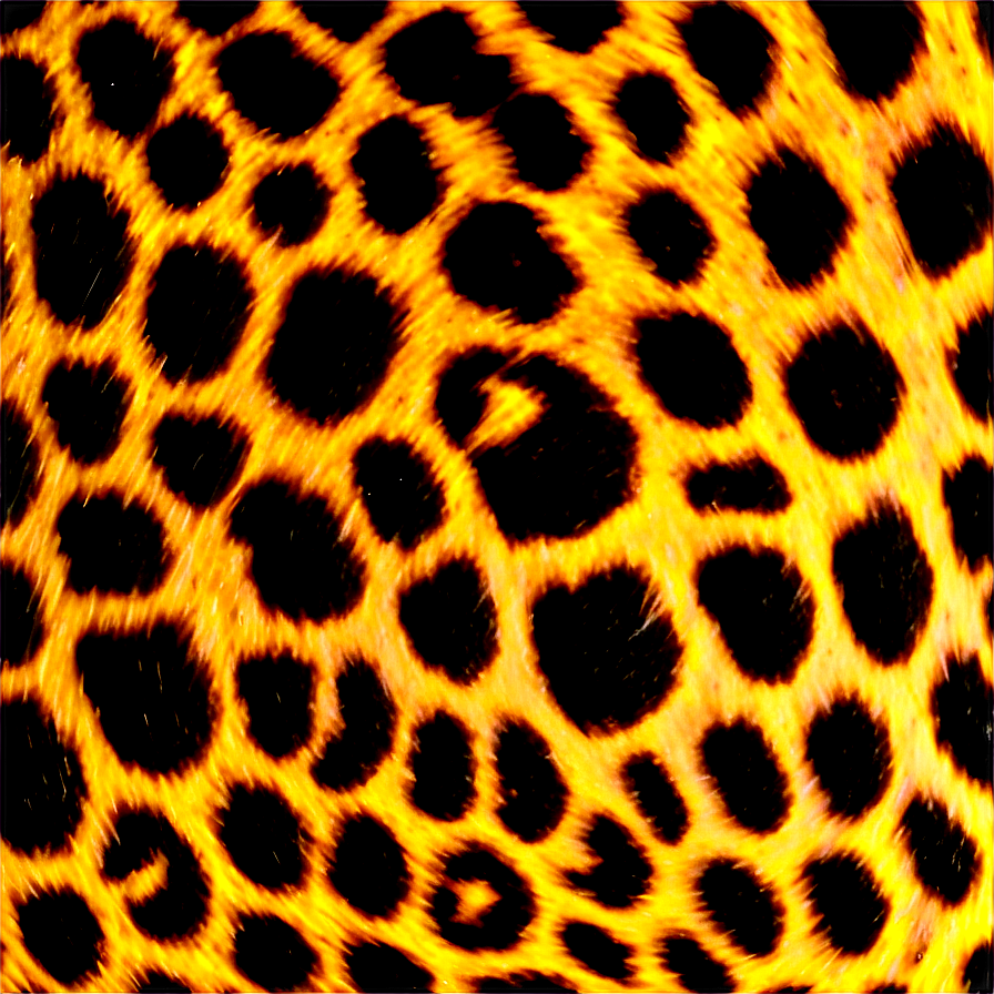 Leopard Spots Png 06272024 PNG Image