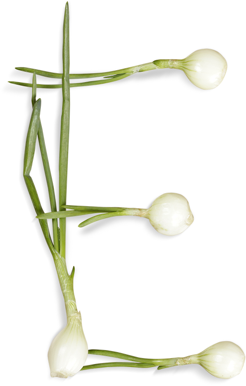 Letter E Formedby Spring Onions PNG Image