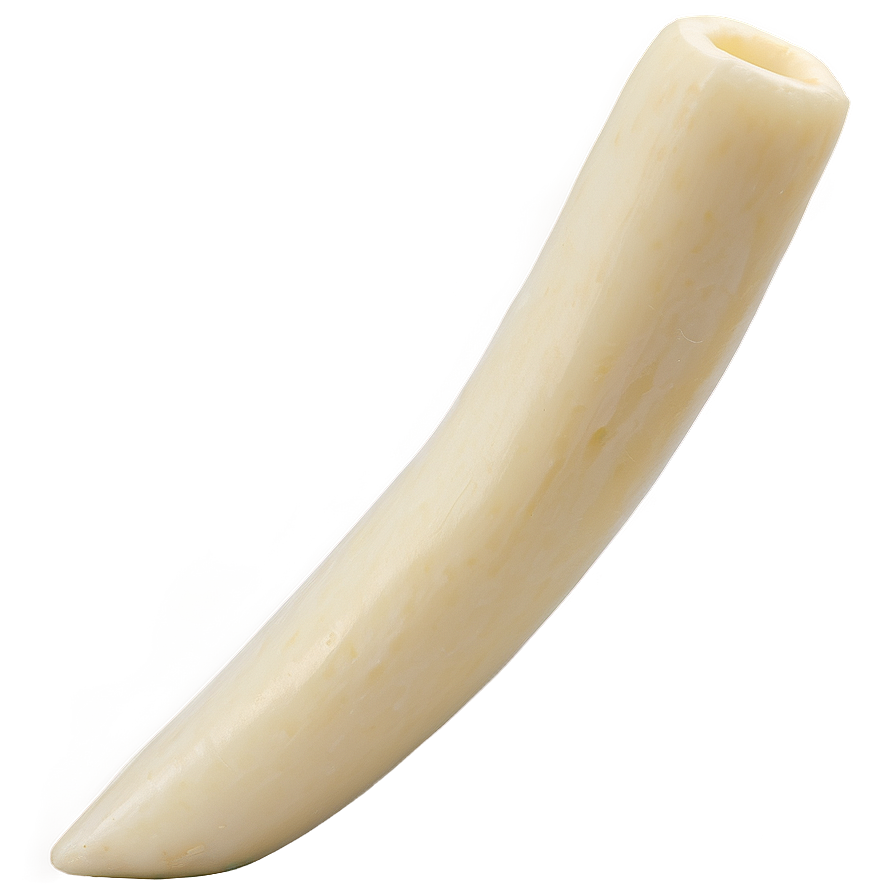 Light String Cheese Png 8 PNG Image