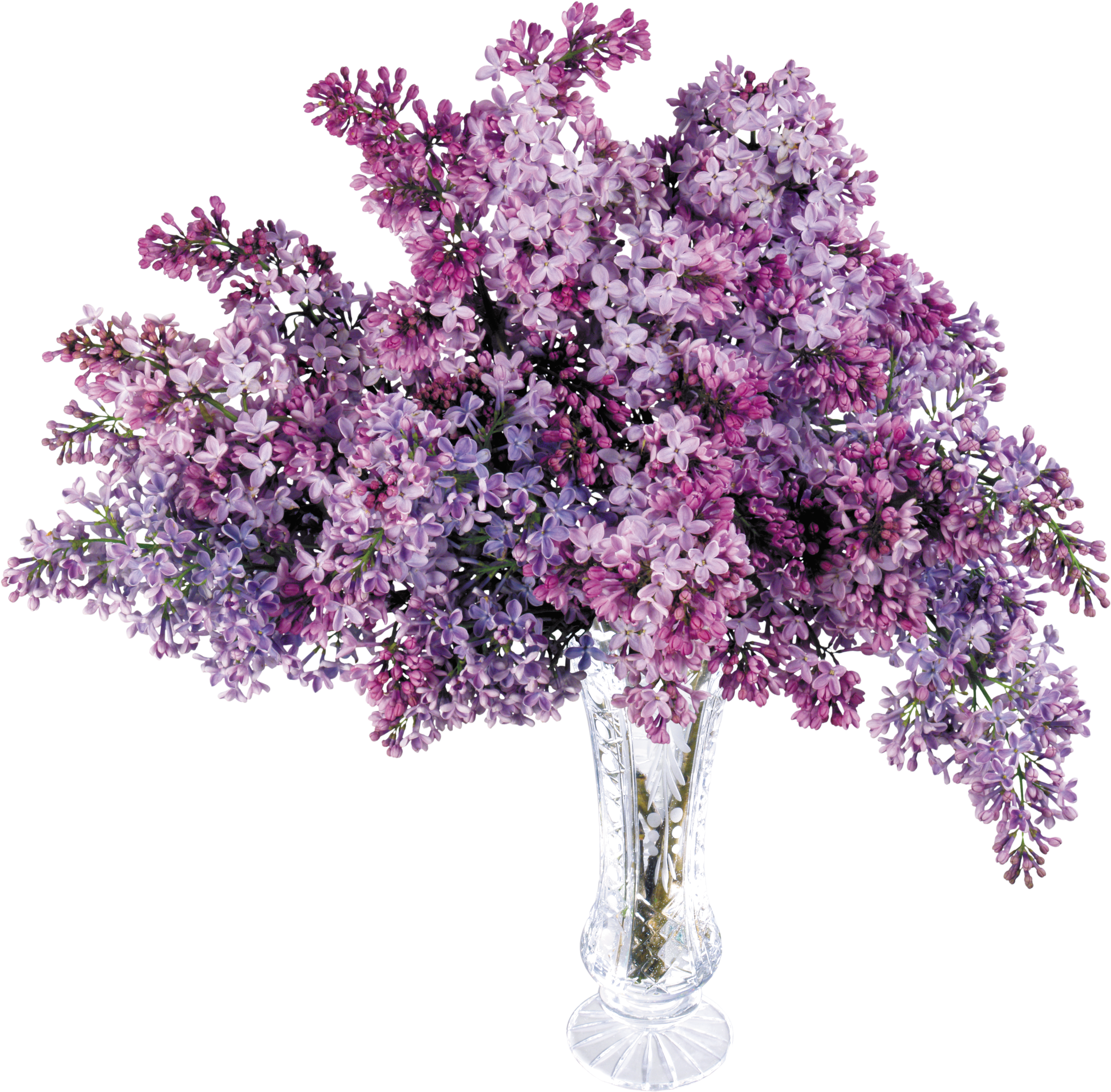 Lilac Bouquetin Crystal Vase PNG Image