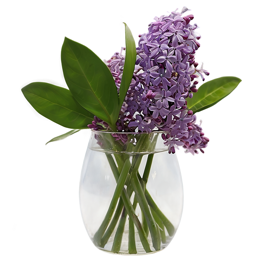 Lilac In Vase Png Sxc24 PNG Image