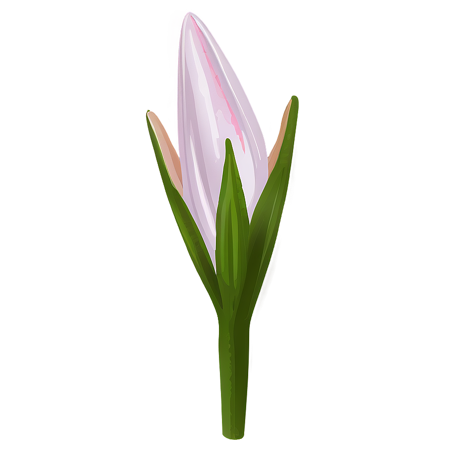 Lily Flower Bud Png Swc47 PNG Image