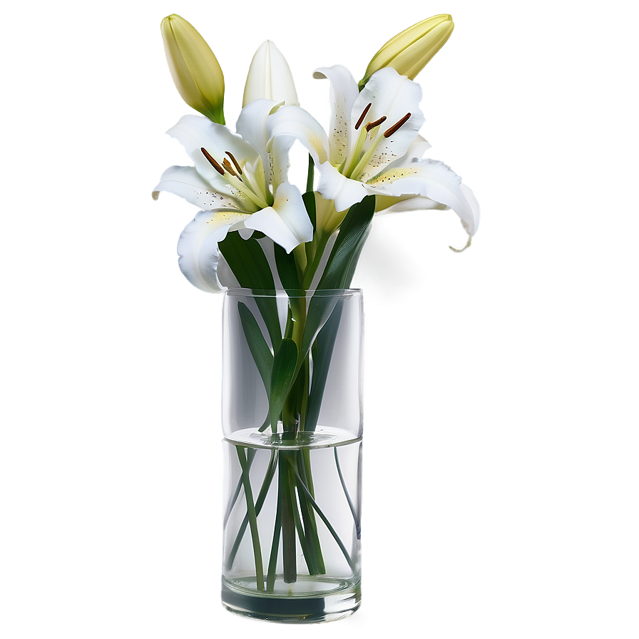 Lily Flower Vase Png 43 PNG Image