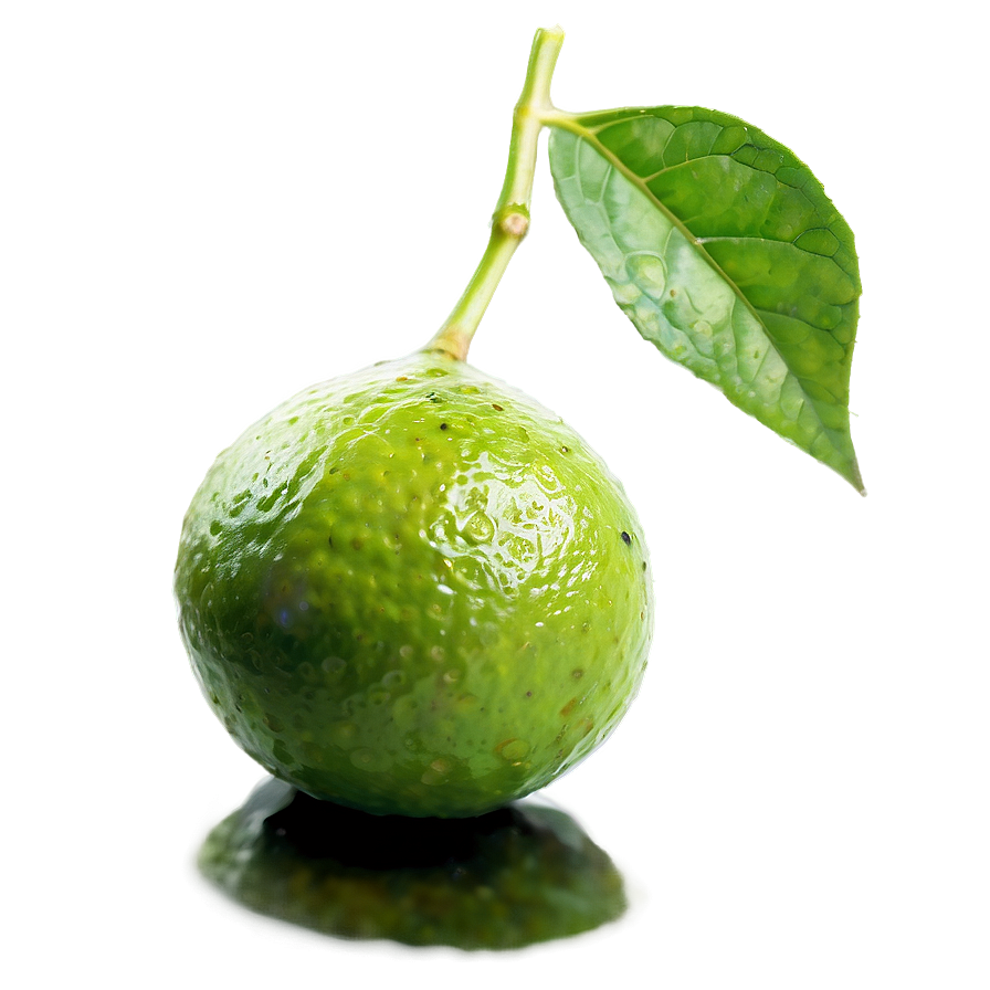 Lime Oil Png Cgl77 PNG Image