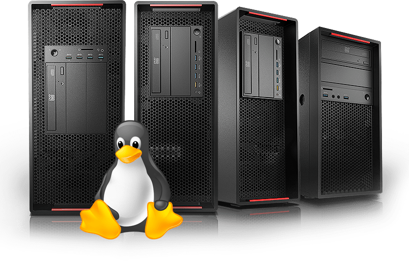 Linux Mascot With Servers PNG Image