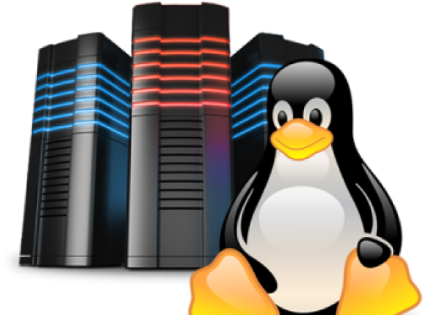 Linux Penguinand Servers.png PNG Image