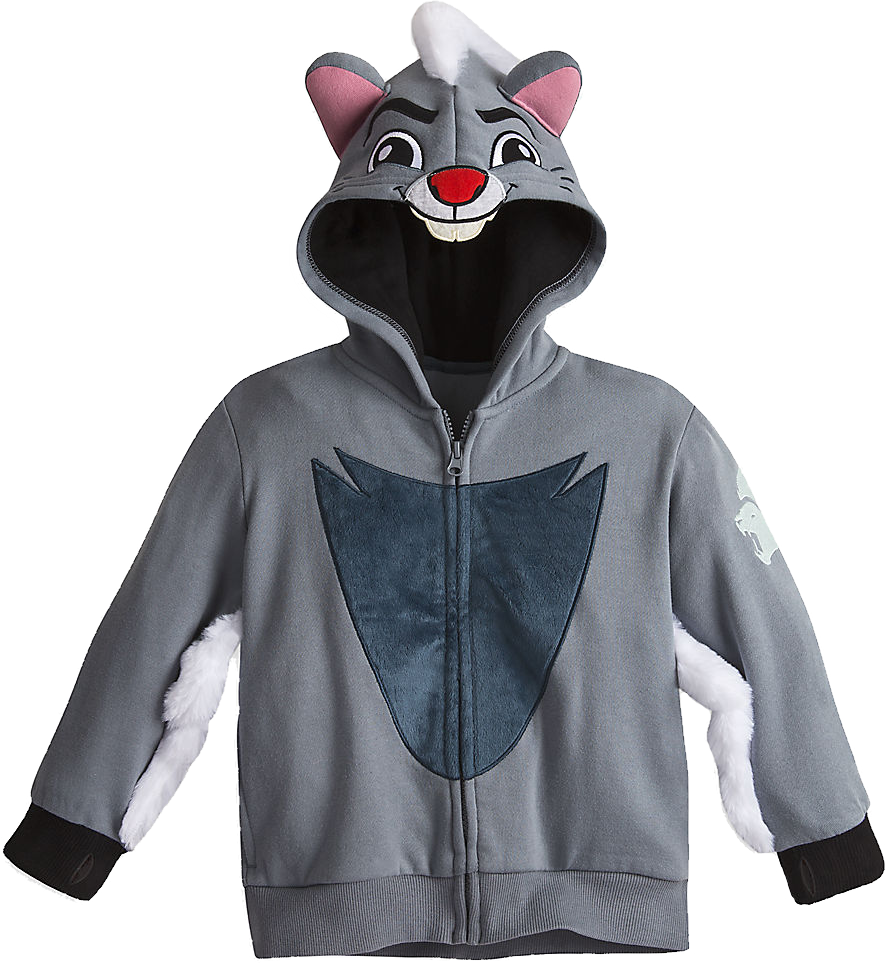 Lion Guard Inspired Character Hoodie PNG Image