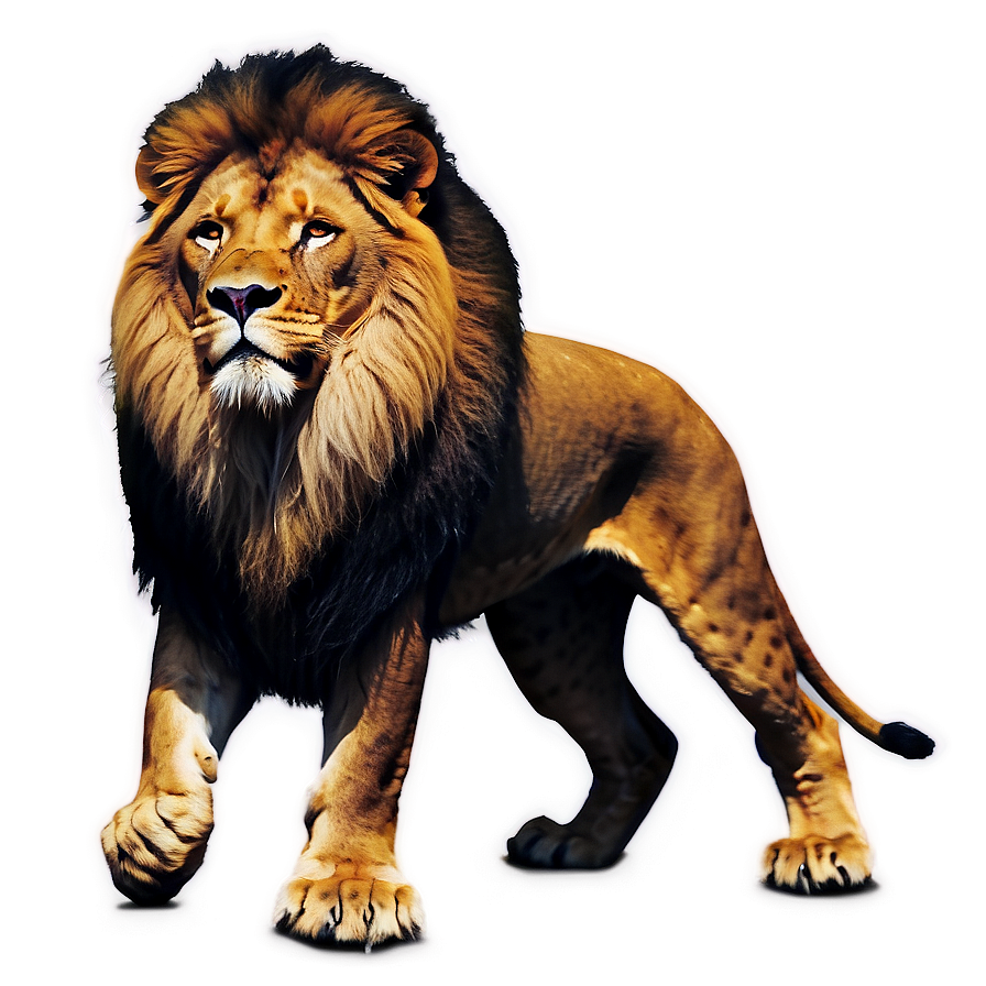 Lion Of Judah Png 06262024 PNG Image