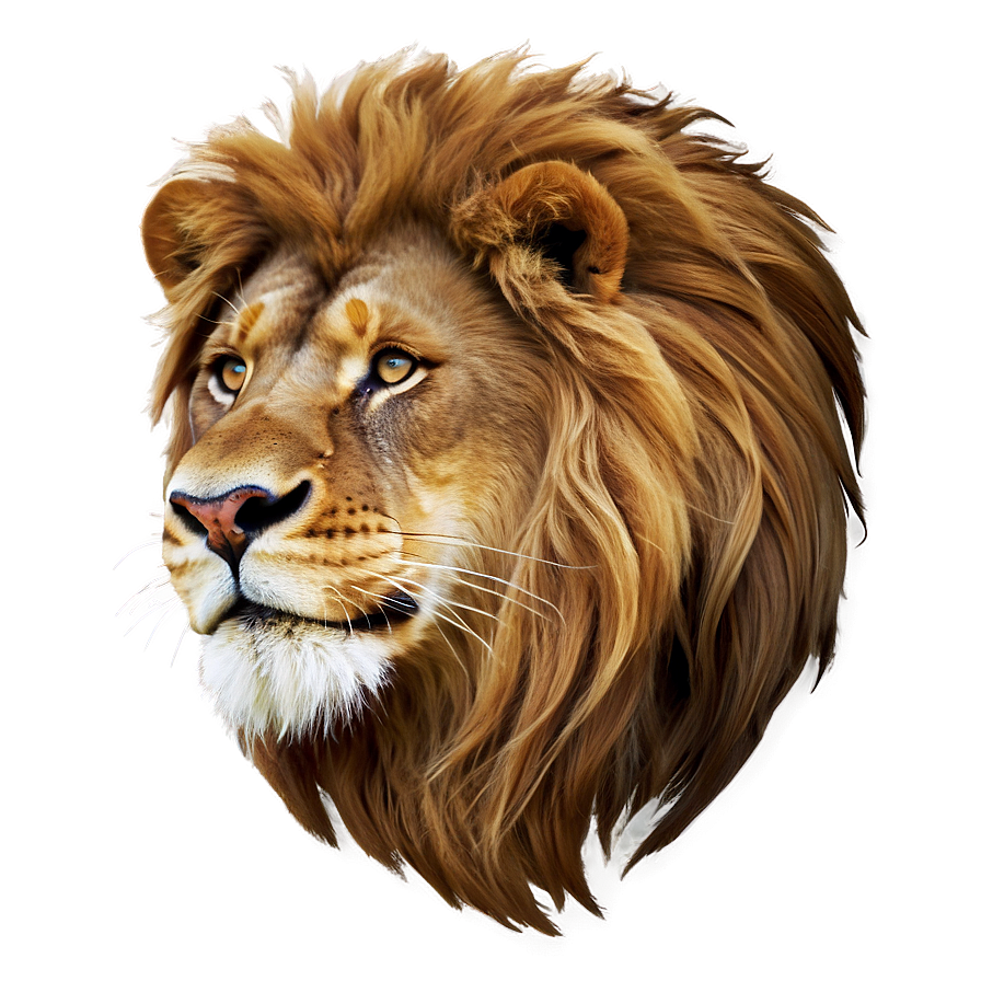 Lion Zodiac Sign Png 30 PNG Image