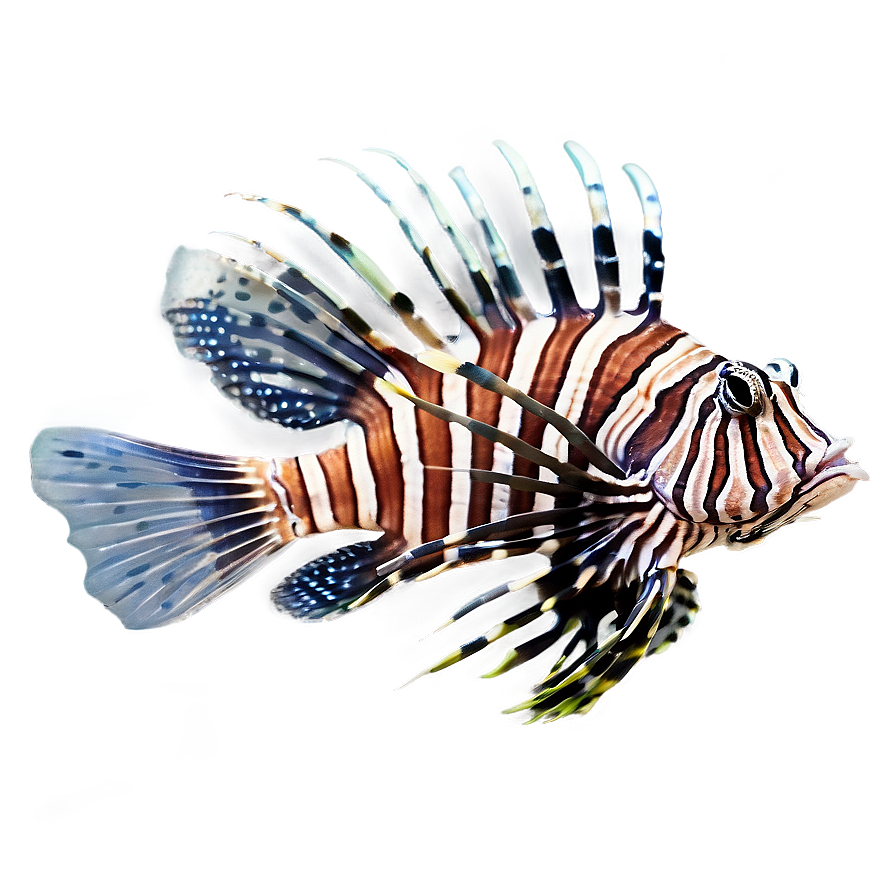 Lionfish Aquarium Png 47 PNG Image