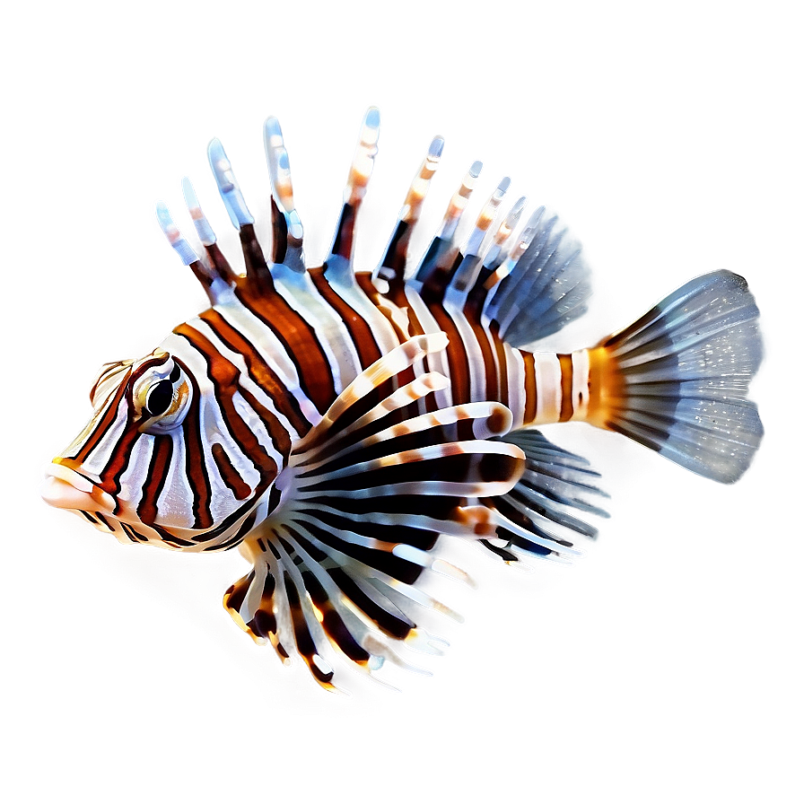 Lionfish Aquarium Png Bhe PNG Image