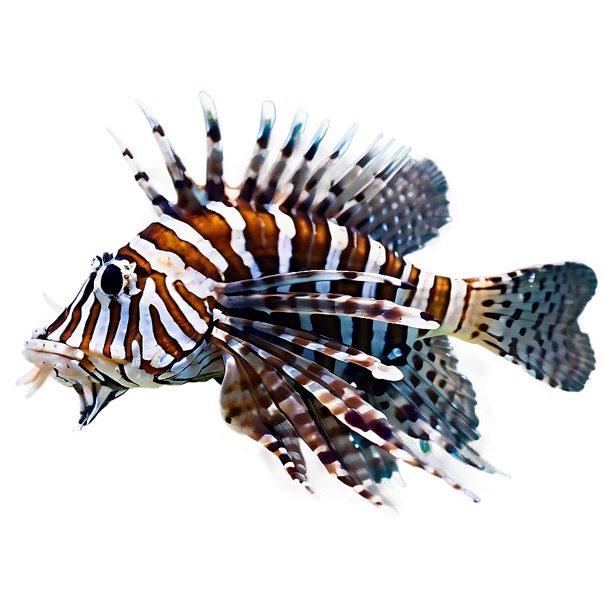 Lionfish Attack Png Uyy73 PNG Image