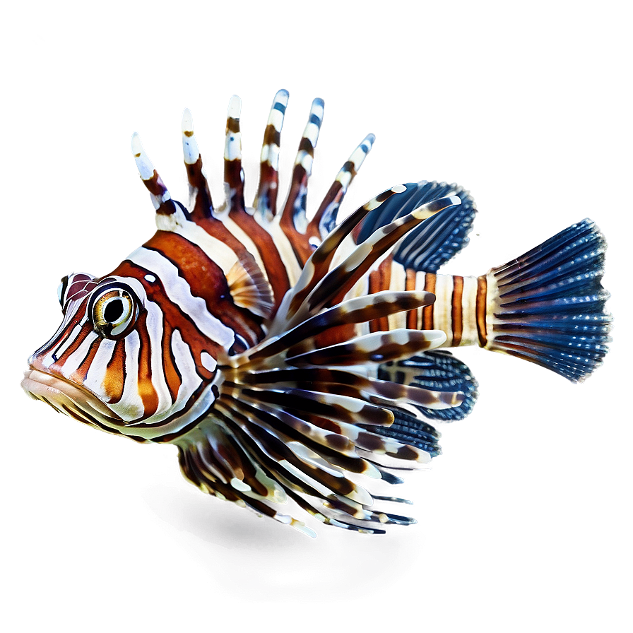 Lionfish Camouflage Png 3 PNG Image