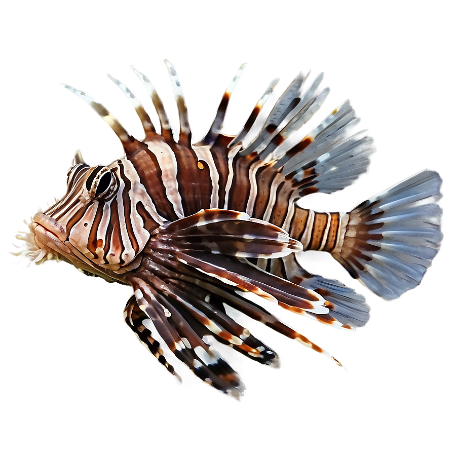 Lionfish Close-up Png 06292024 PNG Image