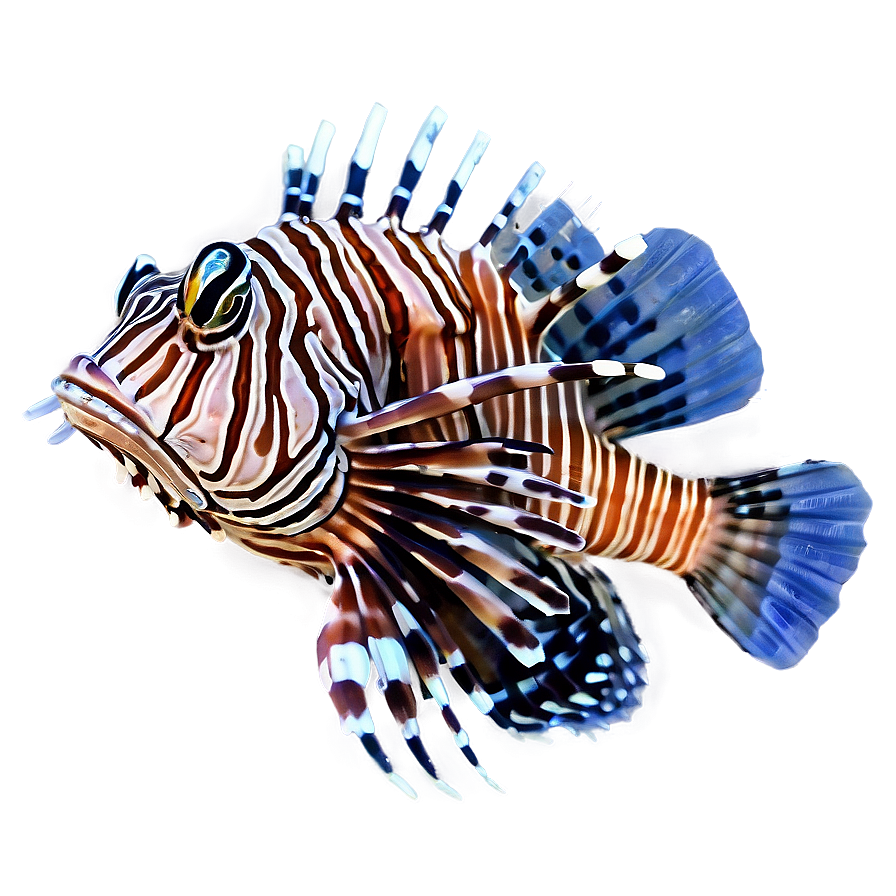 Lionfish In Blue Water Png 64 PNG Image