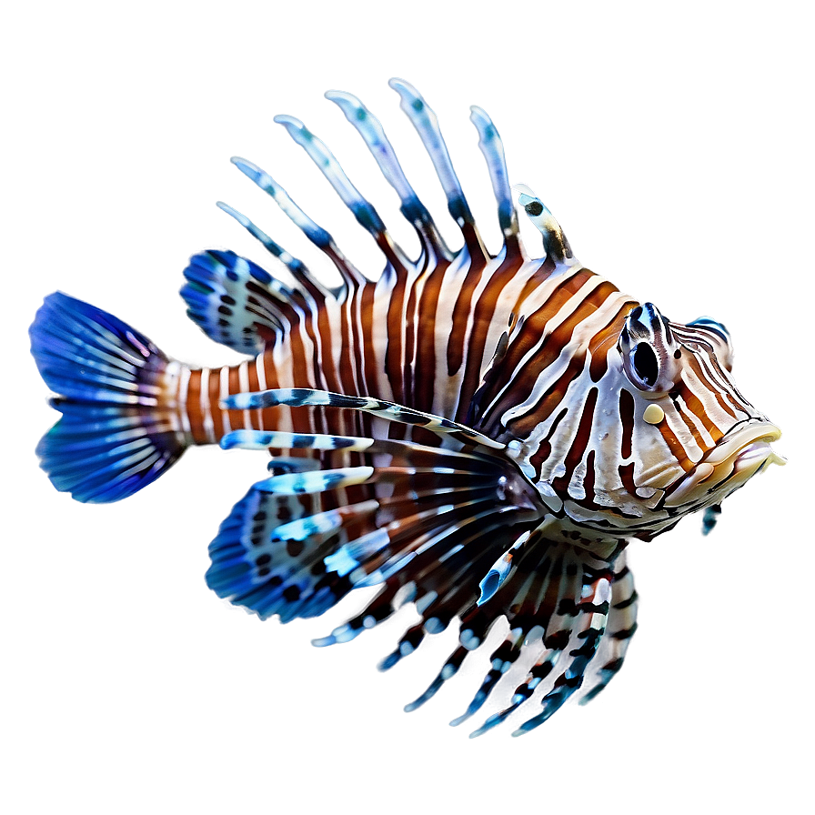 Lionfish In Blue Water Png Did PNG Image