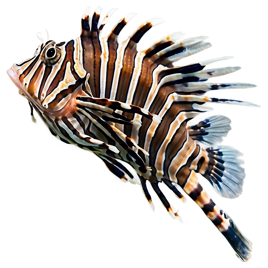 Lionfish In Natural Habitat Png 06292024 PNG Image