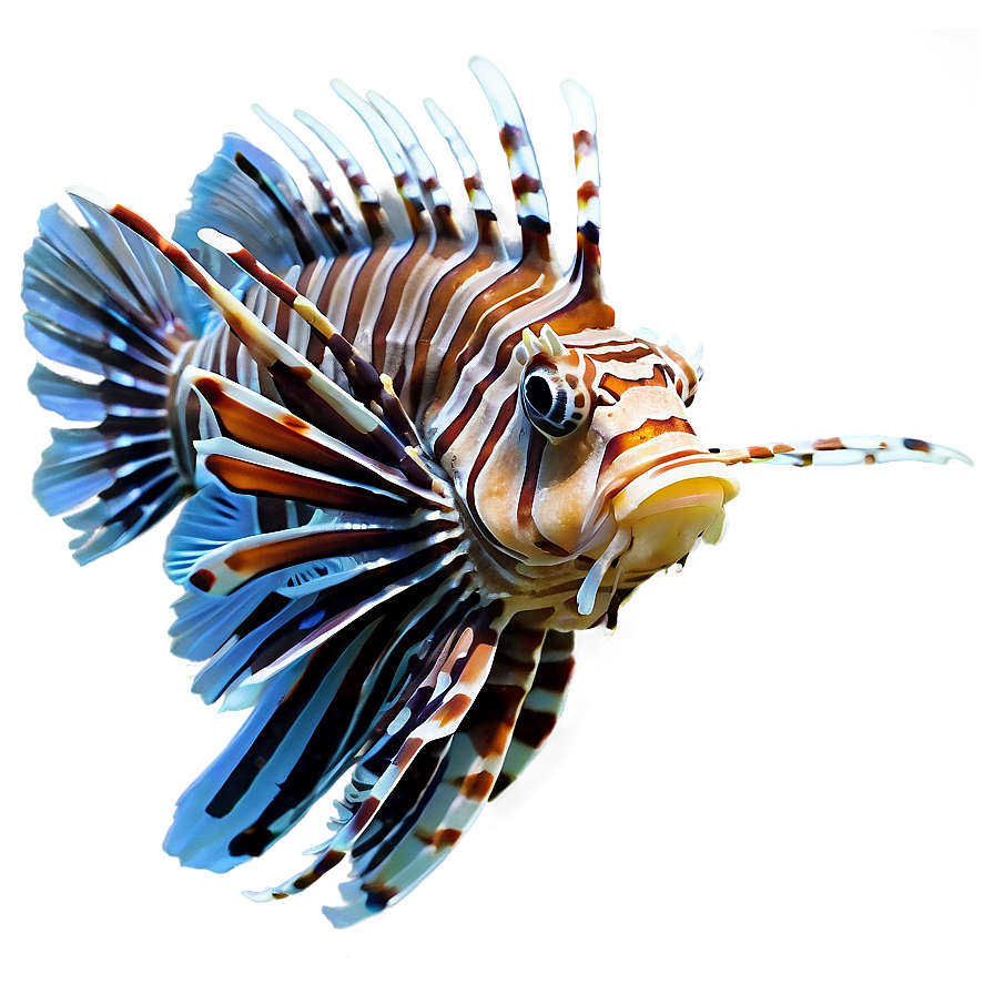 Lionfish Marine Life Png 89 PNG Image