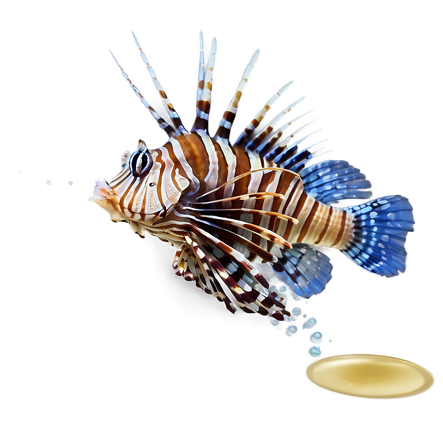 Lionfish Poison Png 28 PNG Image