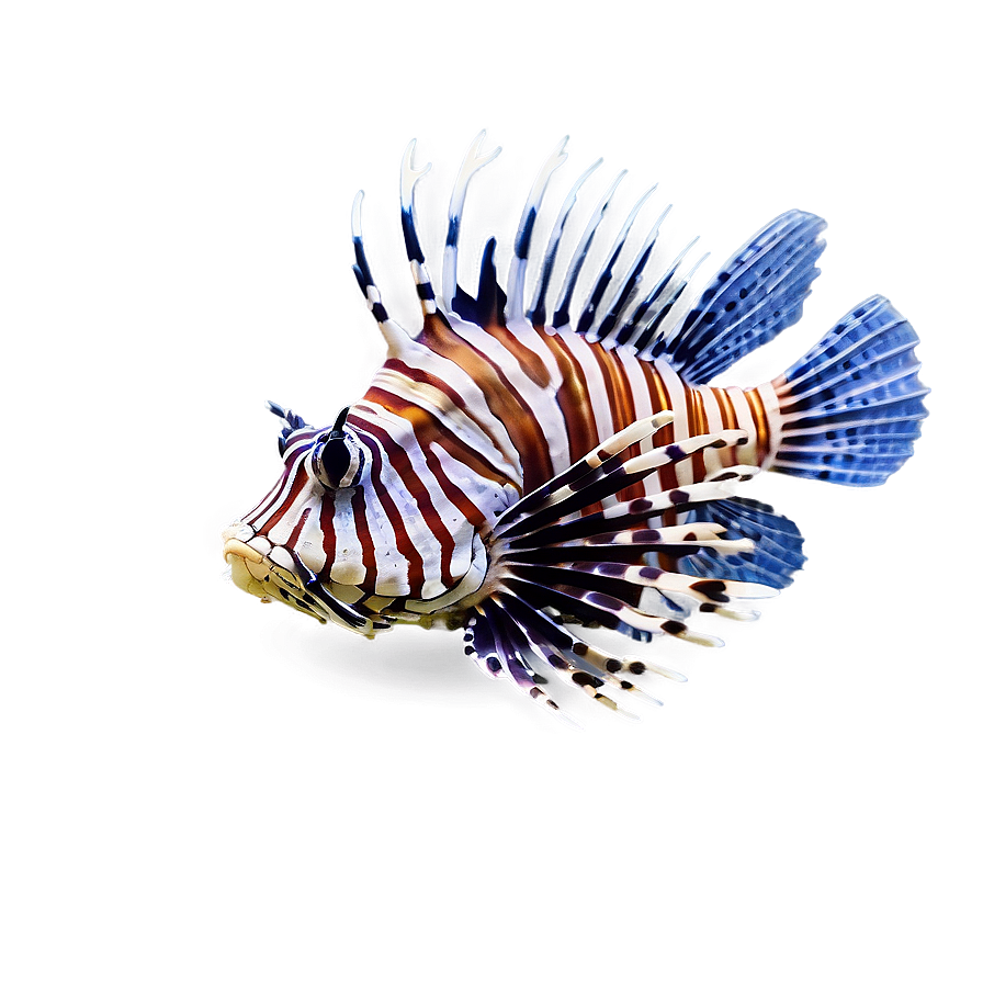 Lionfish Poison Png Pol75 PNG Image