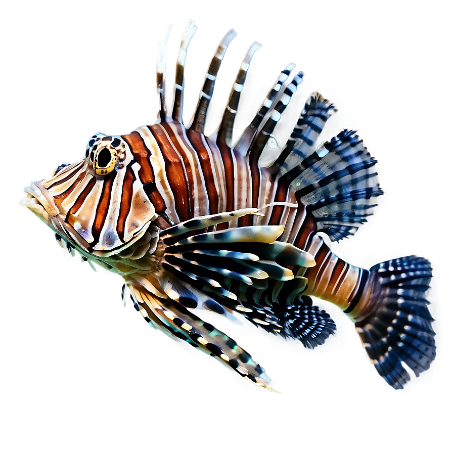 Lionfish Profile Png Dol65 PNG Image