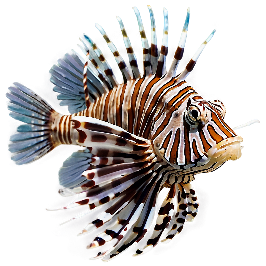 Lionfish Swimming Png Geq96 PNG Image