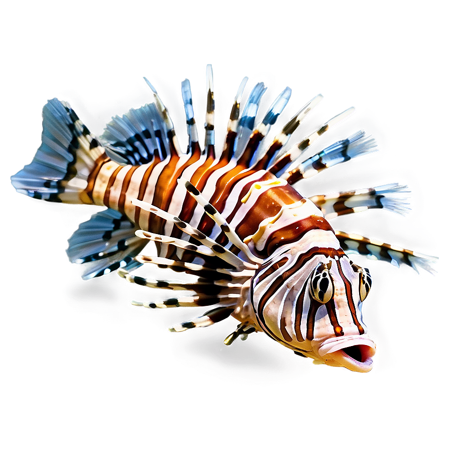 Lionfish Threat Png 44 PNG Image