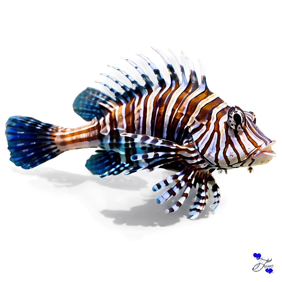 Lionfish With Vibrant Colors Png Ngo38 PNG Image