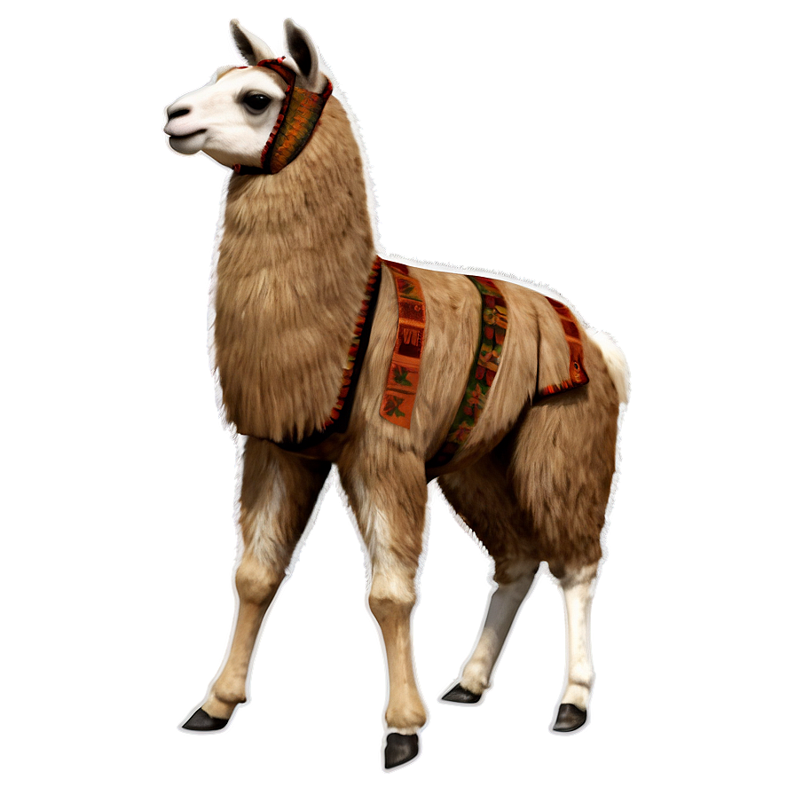 Llama Pattern Png 12 PNG Image