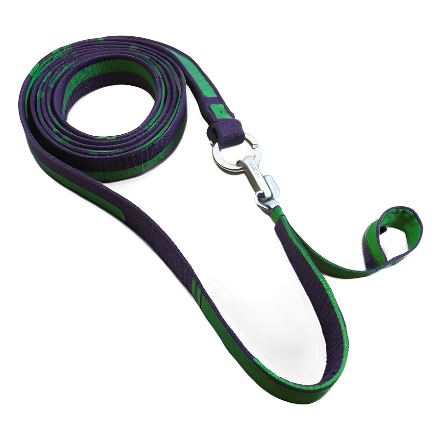 Long Dog Leash Png 06132024 PNG Image