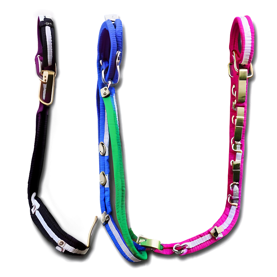 Long Dog Leash Png Rwc59 PNG Image