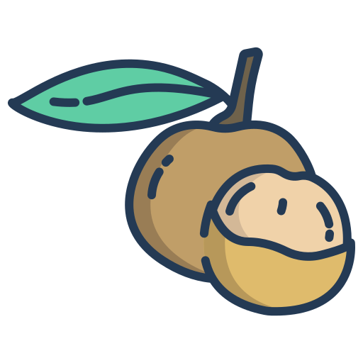 Longan Fruit Cartoon Illustration PNG Image