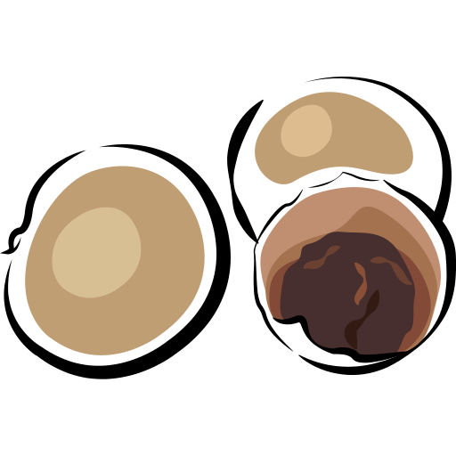 Longan Fruit Illustration PNG Image