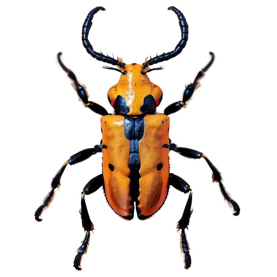 Longhorn Beetle Png Vip PNG Image