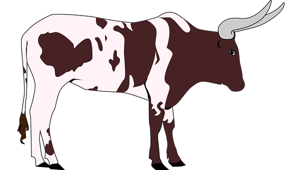 Longhorn Cattle Illustration PNG Image