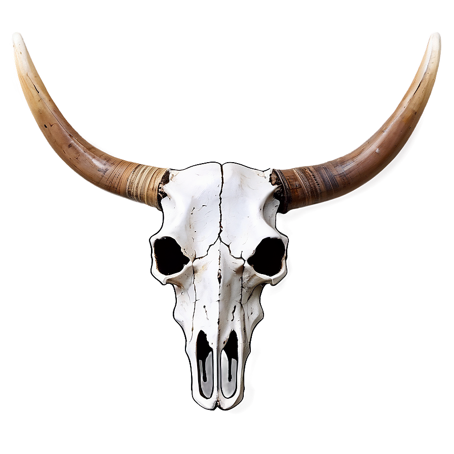 Longhorn Skull And Mountains Png Oen44 PNG Image