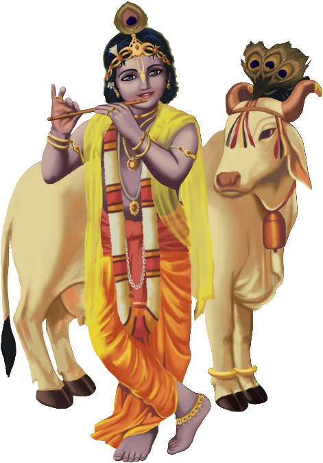 Lord Krishna Playing Flute With Cow PNG Image