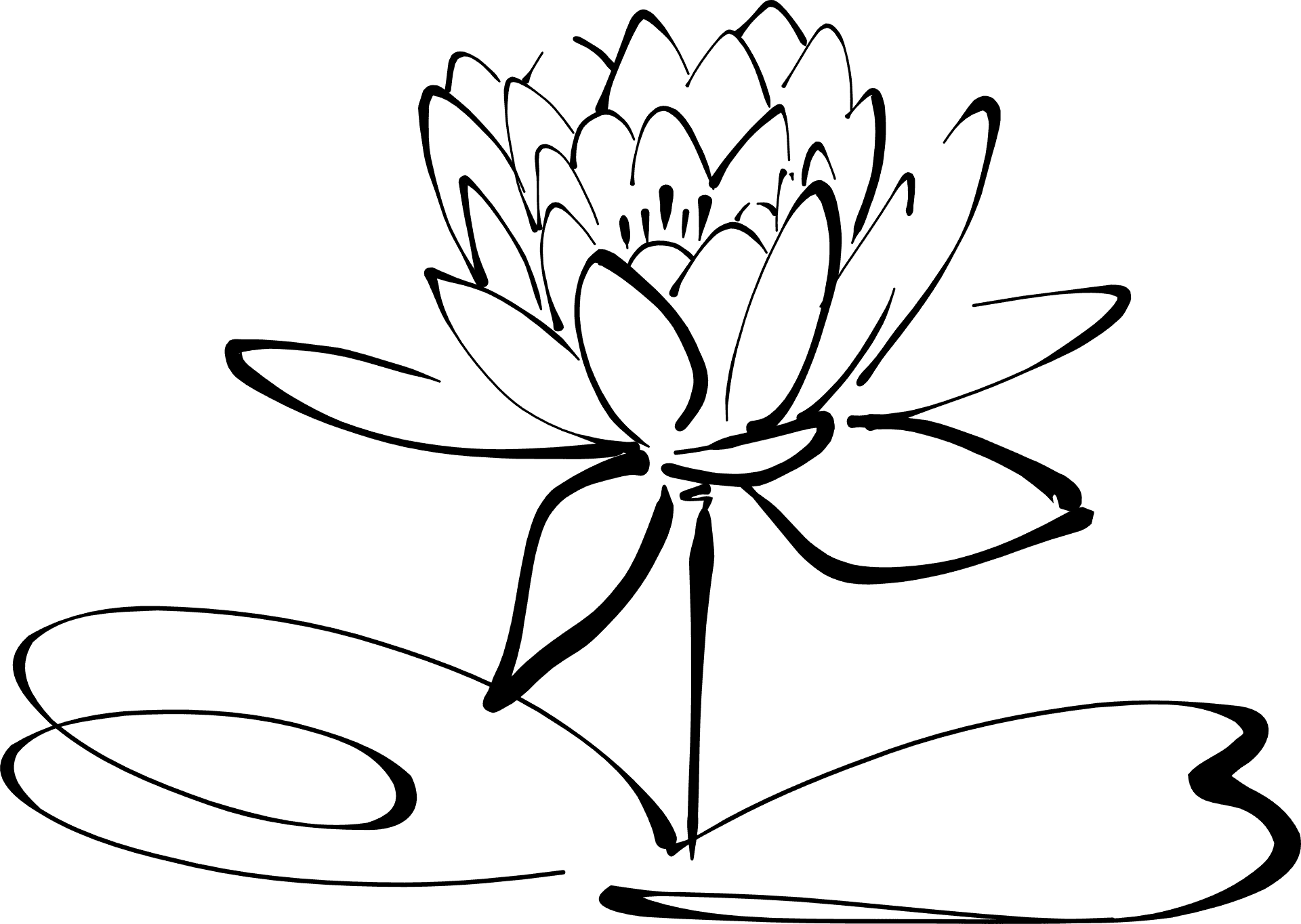 Lotus Flower Line Art Clipart PNG Image