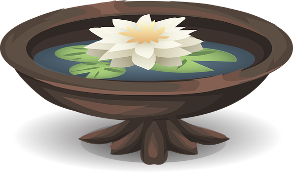 Lotus Flowerin Water Bowl PNG Image