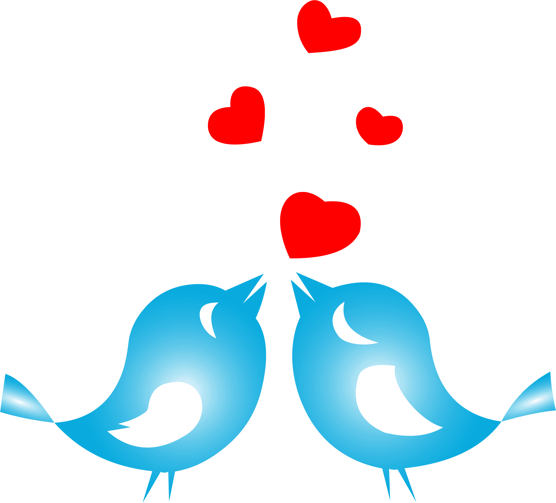 Love Birds Sharing Heart PNG Image