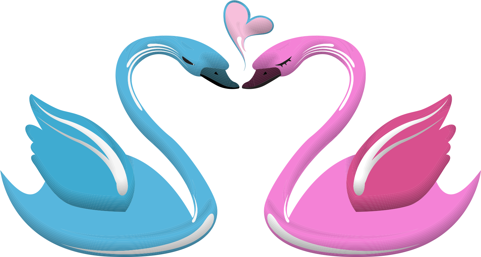 Love Swan Heart Illustration PNG Image