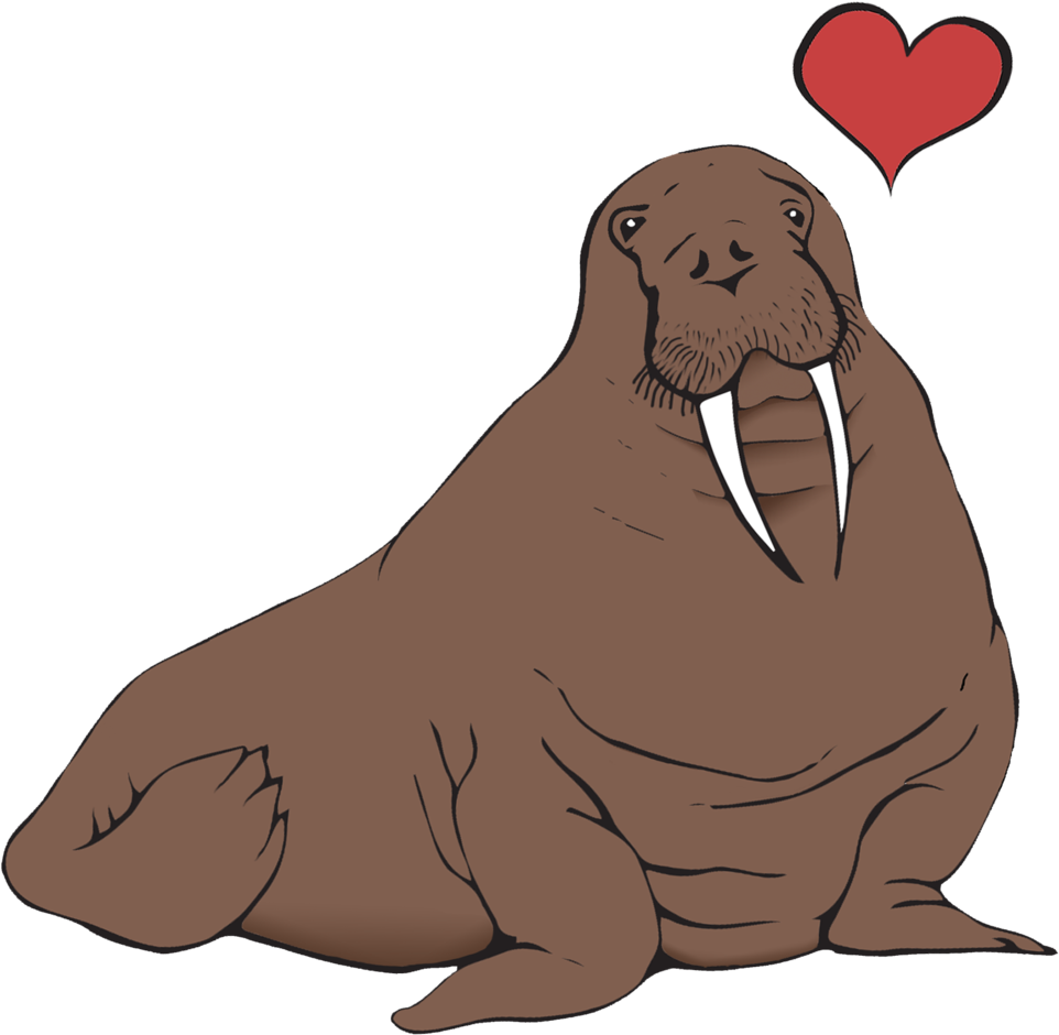 Loving Walrus Cartoon PNG Image