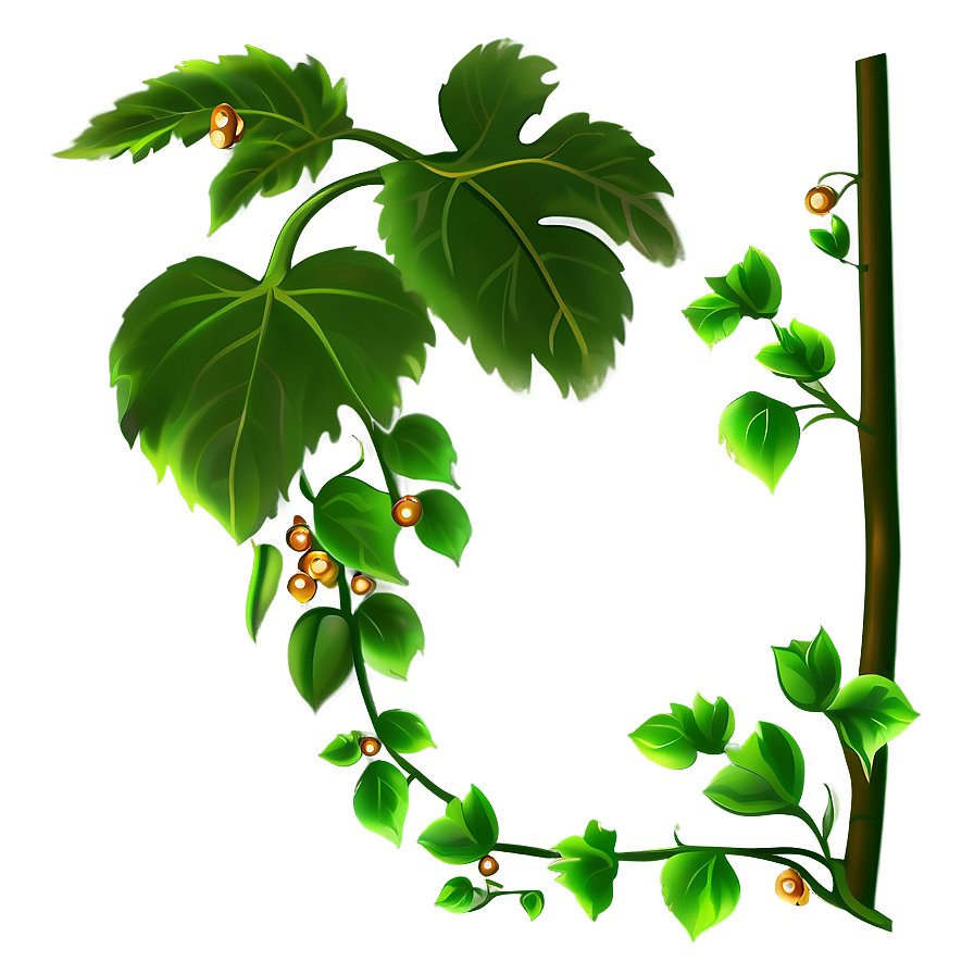 Luminous Berries Vine Illustration PNG Image