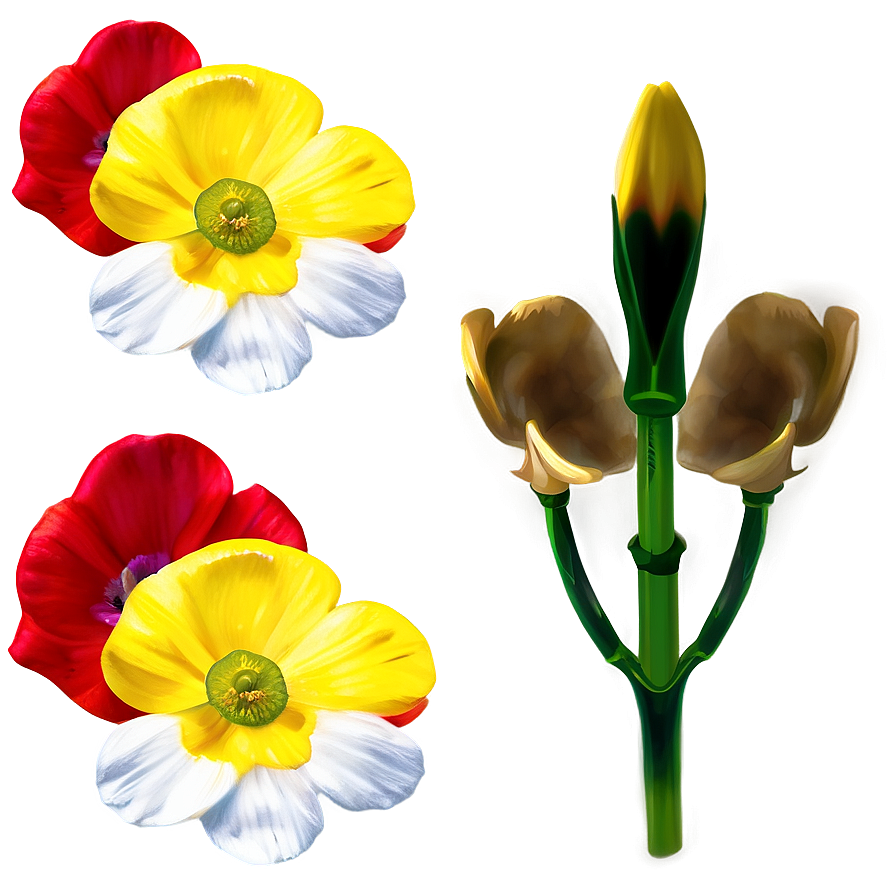 Luminous Buttercup Png Bex PNG Image