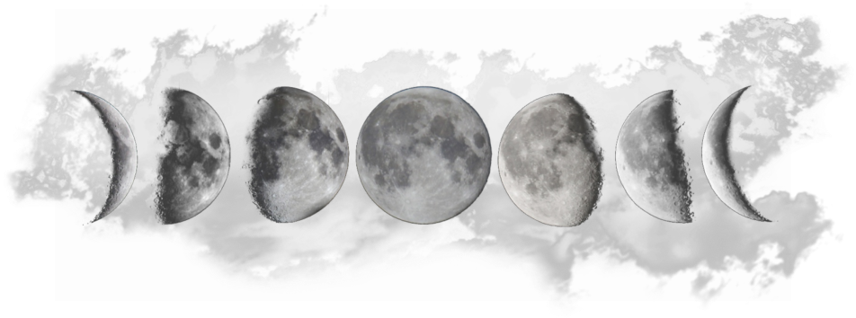 Lunar_ Phases_ Progression PNG Image