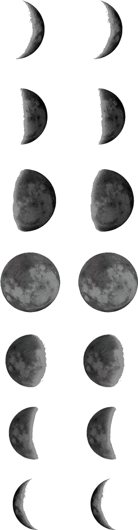 Lunar_ Phases_ Progression PNG Image