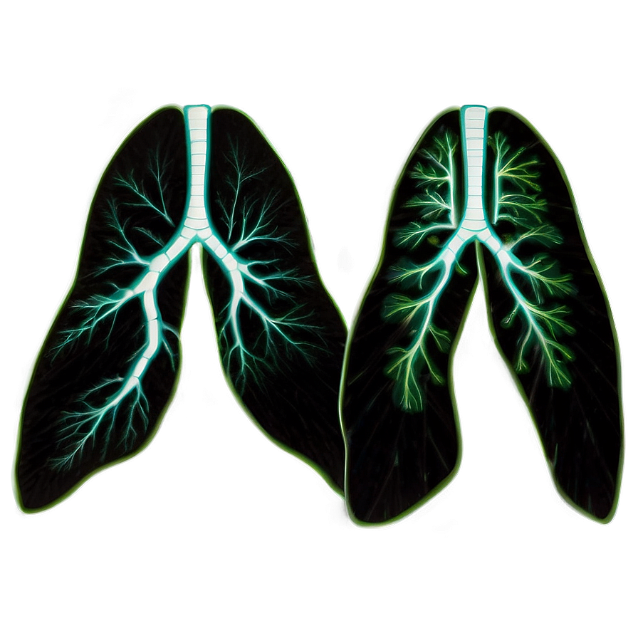 Lungs Disease Awareness Png 05232024 PNG Image